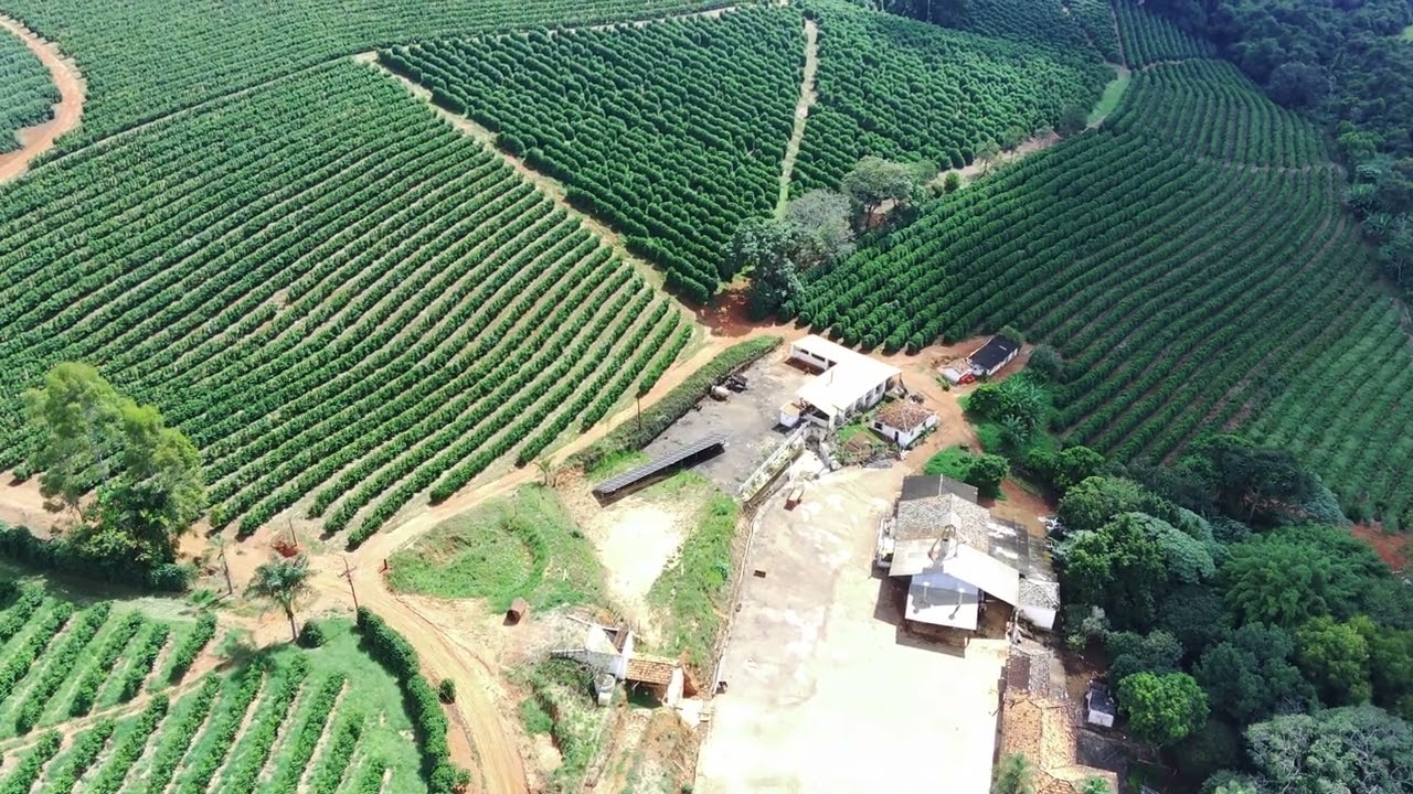 Vista aérea da Fazenda Pinhal cercada por cafezais